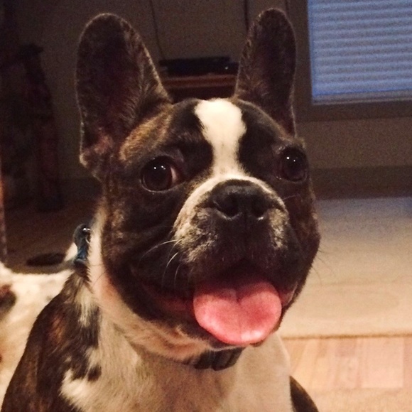 PLEASE LIKE THIS LISTING TO BE NOTIFIED OF LIVE SHOWS! - Picture 1 of 1